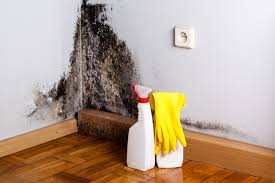 Best Dehumidification Services  in Old Jefferson, LA